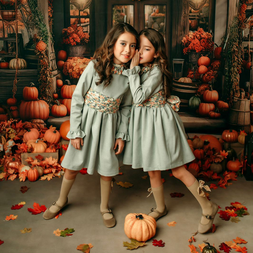 Clásica Hebilla Terciopelo Básicos